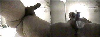 amateur porn videos