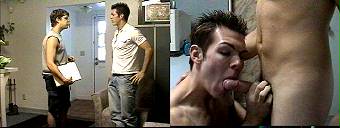 amateur porn dvd