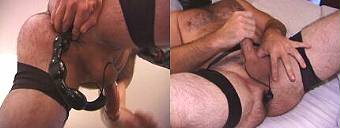 amateur porn dvd