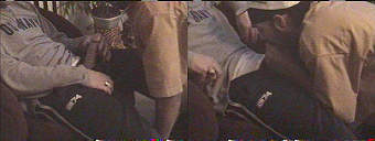 amateur porn videos