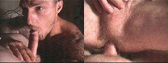 amateur porn dvd