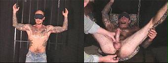amateur porn dvd