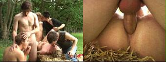 amateur porn dvd