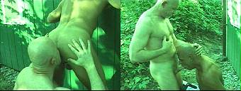 amateur porn dvd