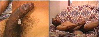 amateur porn dvd