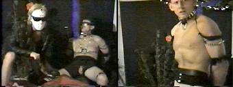 amateur porn dvd