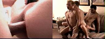 amateur porn dvd