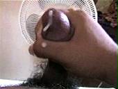porn videos