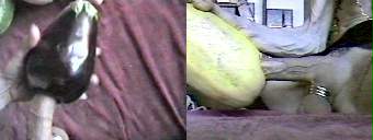 amateur gay porn and straight porn videos