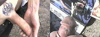 amateur gay porn and straight porn videos