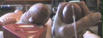 amateur gay porn and straight porn videos