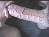 porn videos