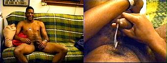 porn videos