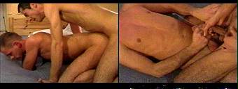porn videos