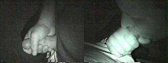 porn videos