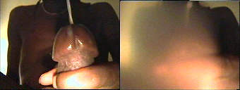 porn videos