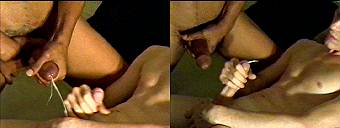 porn videos