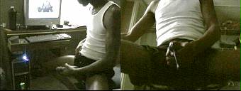 porn videos