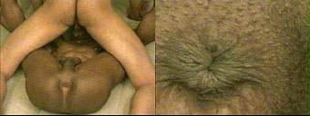 amateur porn