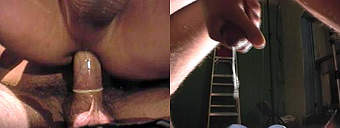 porn videos