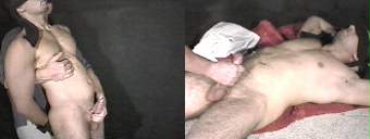 porn videos