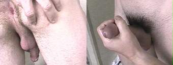 porn videos