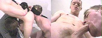 porn videos