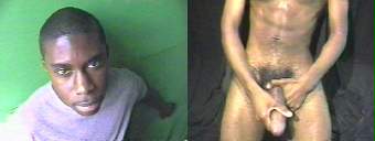 porn videos