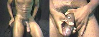 porn videos