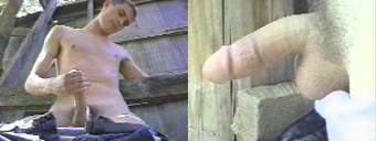 porn videos