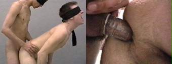 porn videos