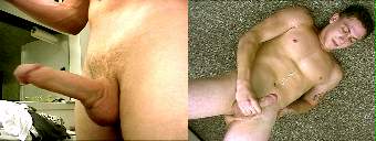 porn videos