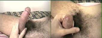 porn videos
