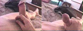porn videos