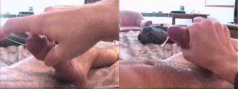 porn videos