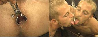 porn videos