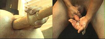 porn videos