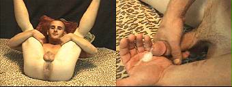 porn videos