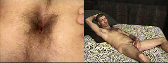 porn videos