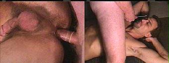 porn videos