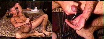 porn videos