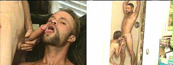 porn videos