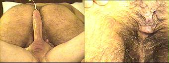 porn videos