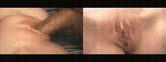 porn videos