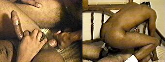 porn videos
