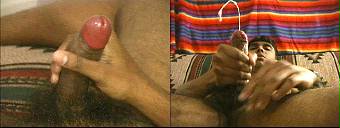 porn videos