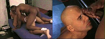 porn videos
