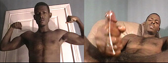 porn videos