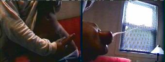 amateur gay porn and straight porn videos