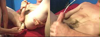 porn videos